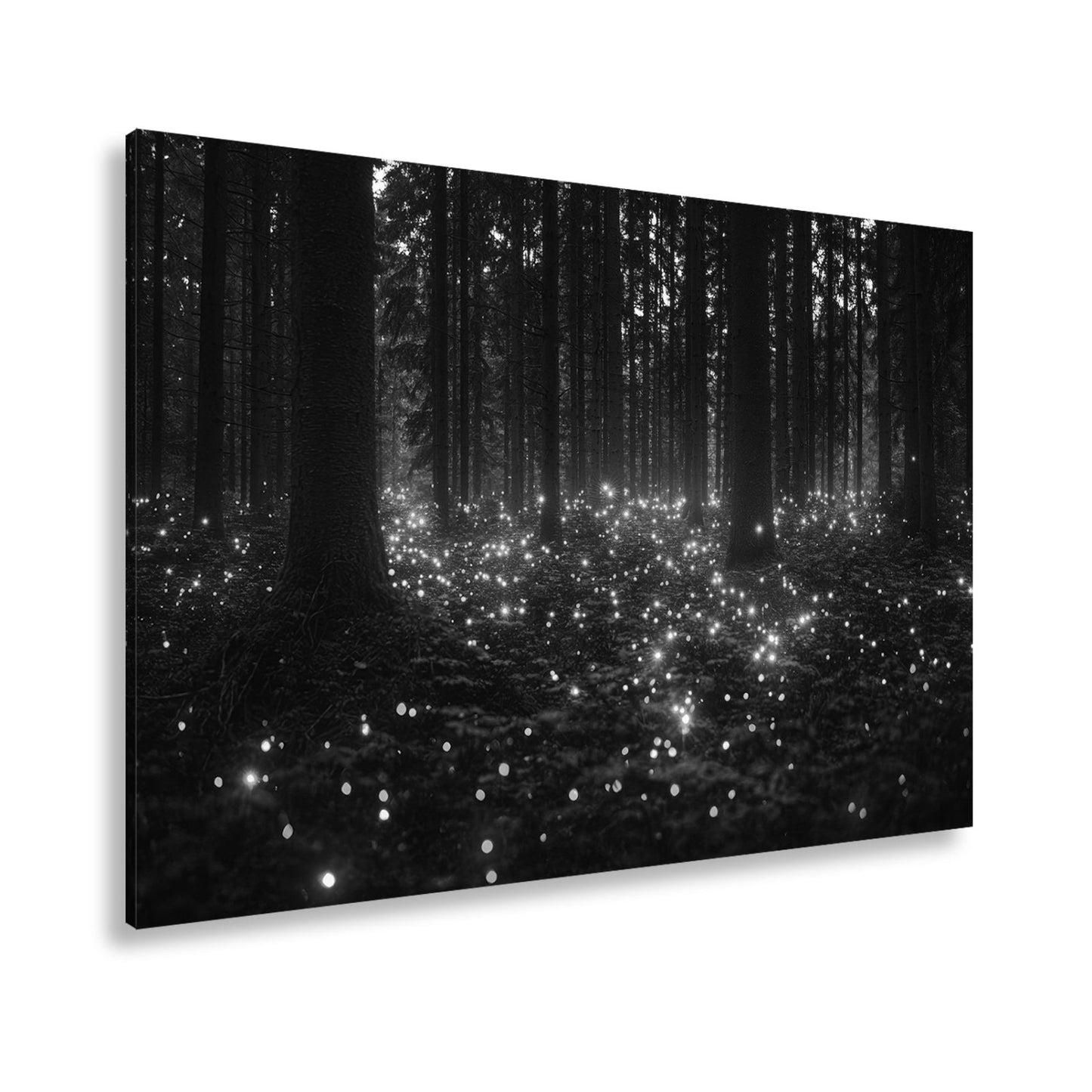 Leinwandbild Zauberwald XXL – Erleuchtet von tanzenden Lichtpunkten - deyoli