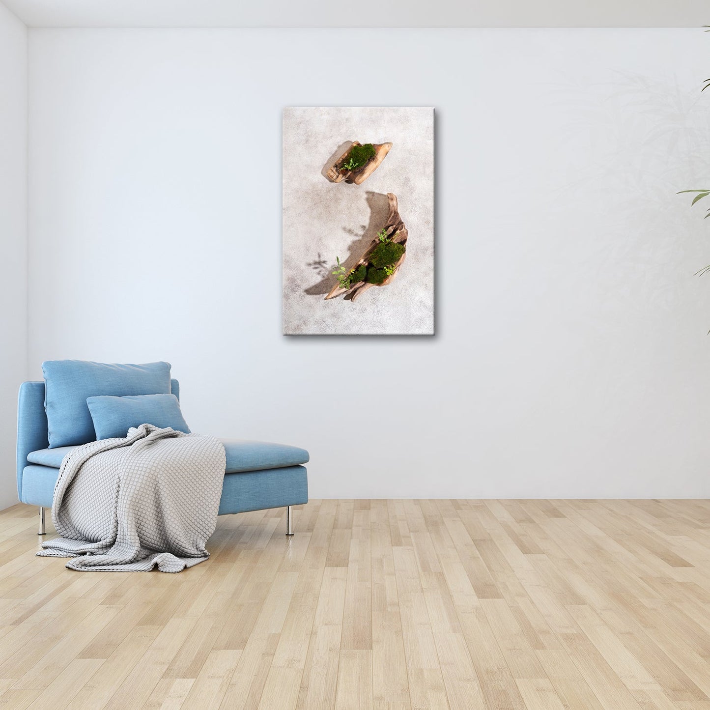 Leinwandbild Zen trifft Design – Moosgarten auf Treibholz. - deyoli