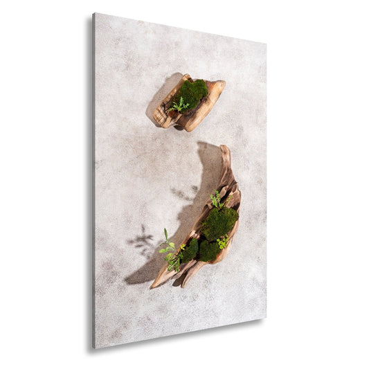 Leinwandbild Zen trifft Design – Moosgarten auf Treibholz. - deyoli