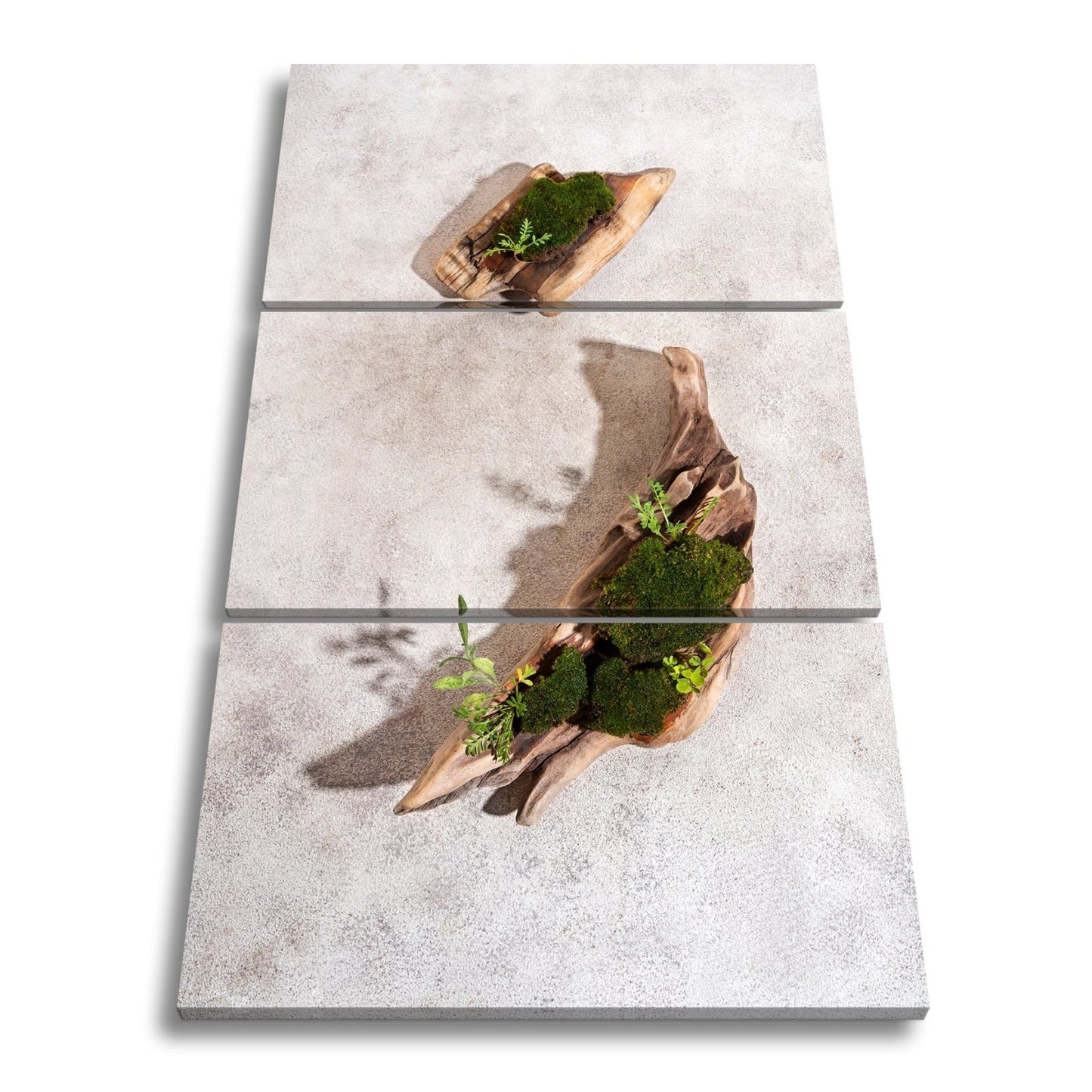 Leinwandbild Zen trifft Design – Moosgarten auf Treibholz. - deyoli