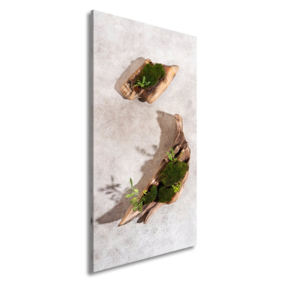Leinwandbild Zen trifft Design – Moosgarten auf Treibholz. - deyoli