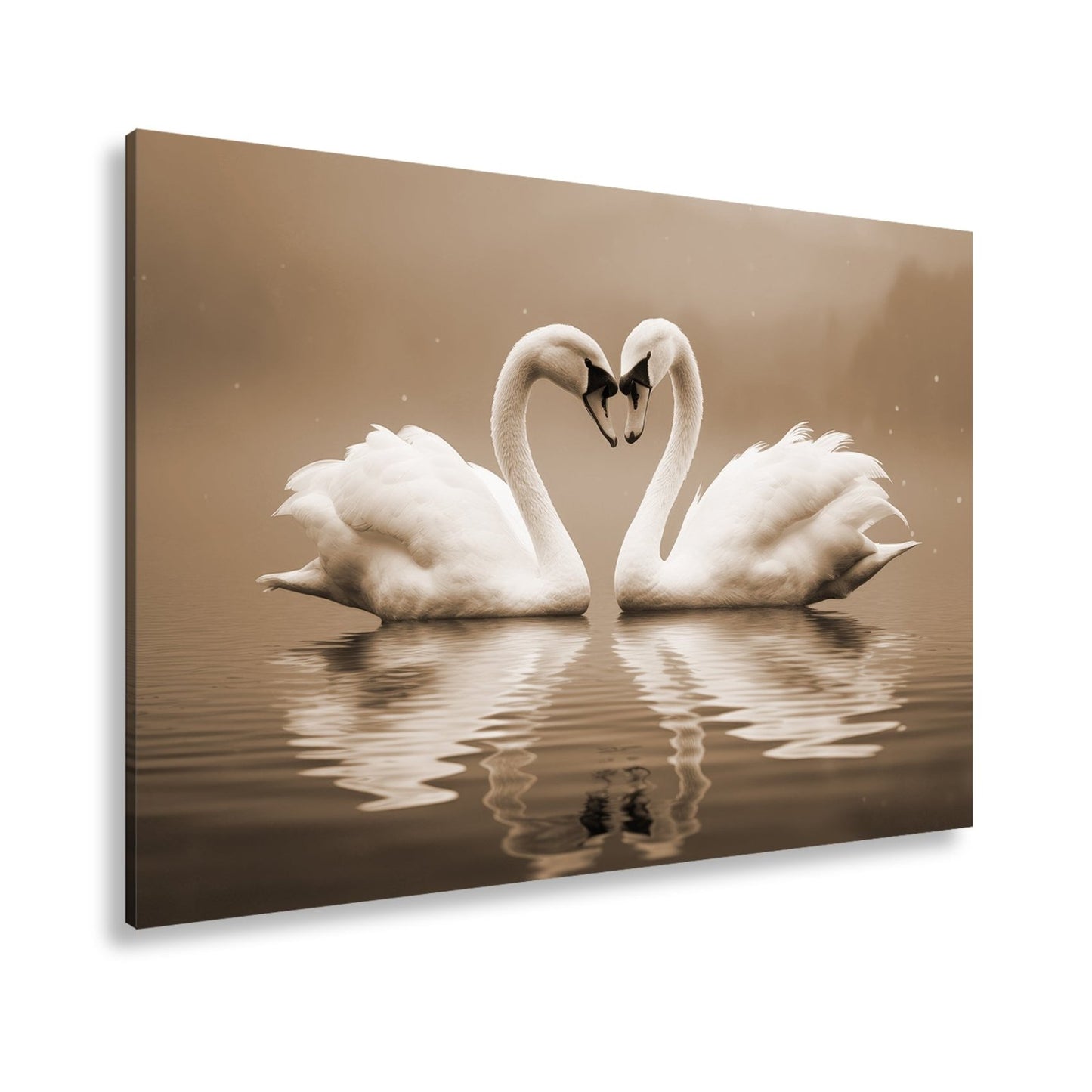 Leinwandbild Zwei Schwäne spiegeln Liebe im stillen, blauen Morgen. - deyoli