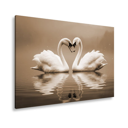 Leinwandbild Zwei Schwäne spiegeln Liebe im stillen, blauen Morgen. - deyoli