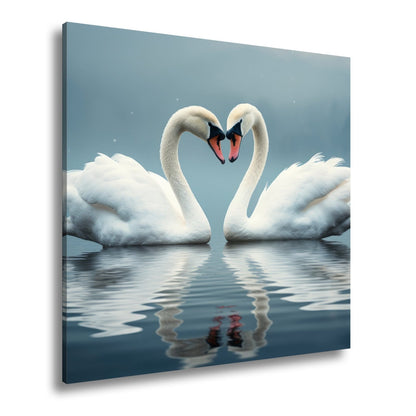 Leinwandbild Zwei Schwäne spiegeln Liebe im stillen, blauen Morgen. - deyoli