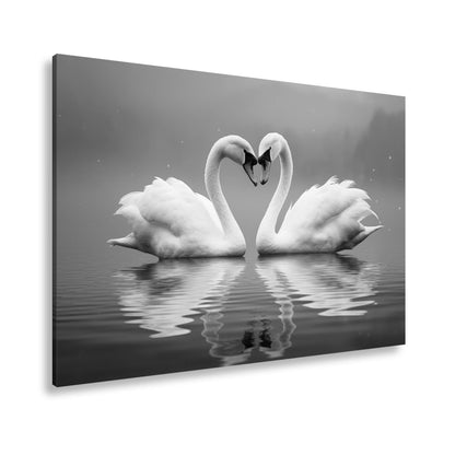 Leinwandbild Zwei Schwäne spiegeln Liebe im stillen, blauen Morgen. - deyoli