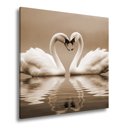 Leinwandbild Zwei Schwäne spiegeln Liebe im stillen, blauen Morgen. - deyoli