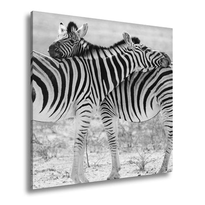 Leinwandbild Zwei Zebras verschlingen sich in zarter, gestreifter Umarmung - deyoli