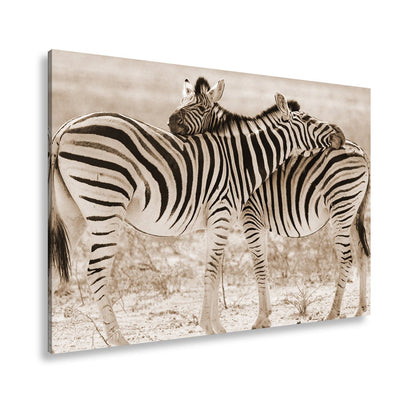 Leinwandbild Zwei Zebras verschlingen sich in zarter, gestreifter Umarmung - deyoli