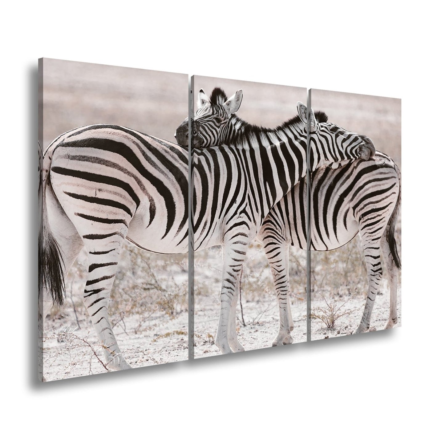 Leinwandbild Zwei Zebras verschlingen sich in zarter, gestreifter Umarmung - deyoli