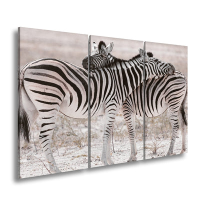 Leinwandbild Zwei Zebras verschlingen sich in zarter, gestreifter Umarmung - deyoli