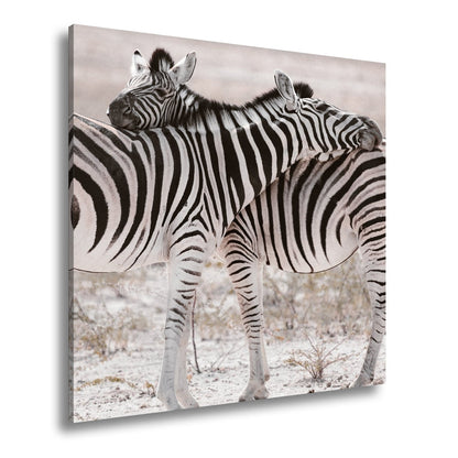 Leinwandbild Zwei Zebras verschlingen sich in zarter, gestreifter Umarmung - deyoli