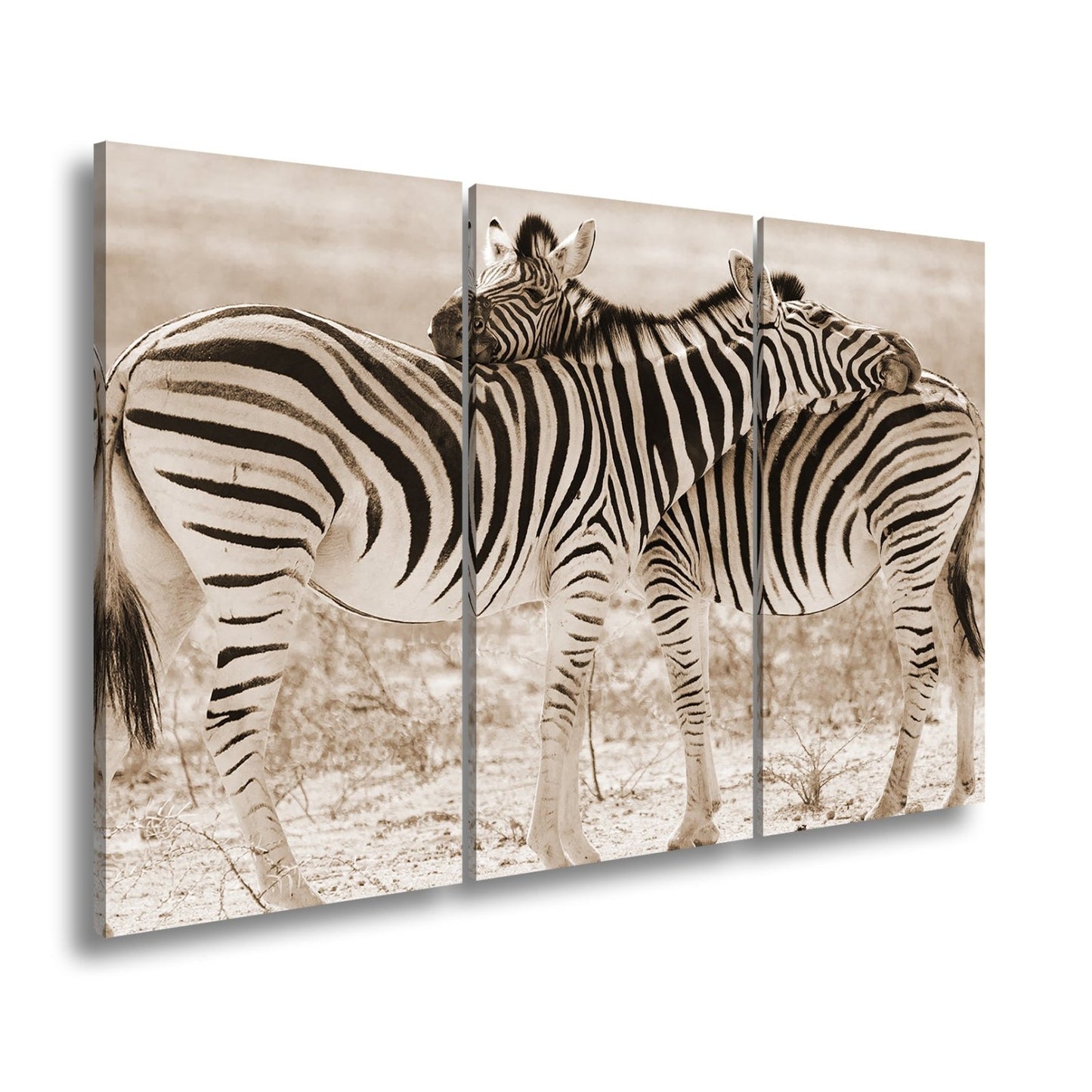 Leinwandbild Zwei Zebras verschlingen sich in zarter, gestreifter Umarmung - deyoli