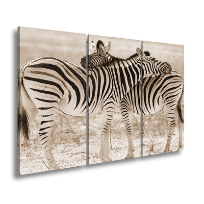 Leinwandbild Zwei Zebras verschlingen sich in zarter, gestreifter Umarmung - deyoli