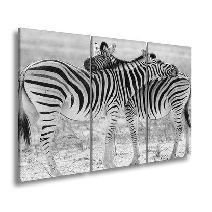 Leinwandbild Zwei Zebras verschlingen sich in zarter, gestreifter Umarmung - deyoli