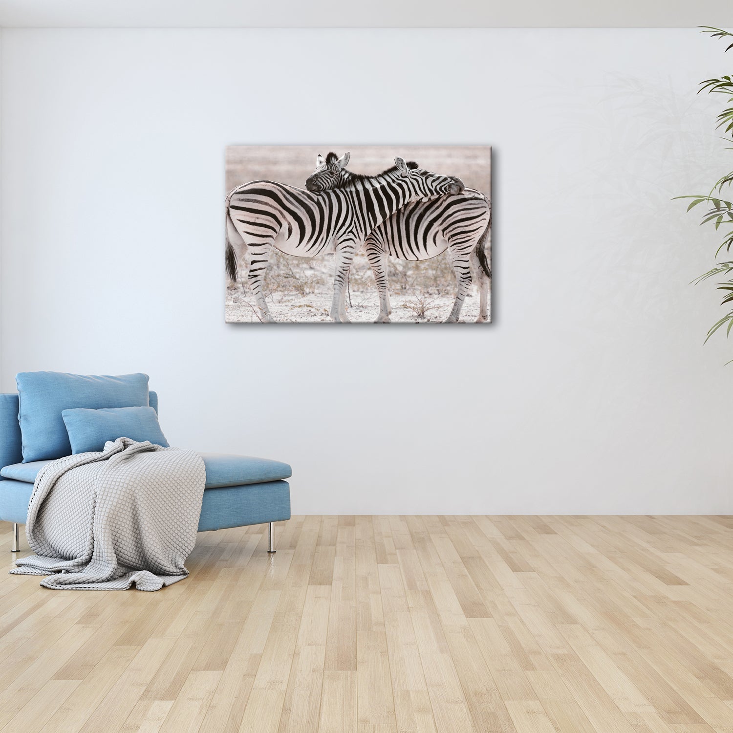 Leinwandbild Zwei Zebras verschlingen sich in zarter, gestreifter Umarmung - deyoli