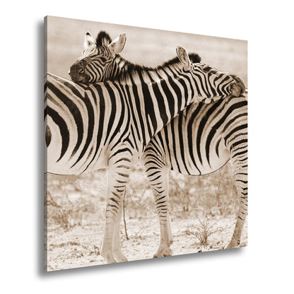 Leinwandbild Zwei Zebras verschlingen sich in zarter, gestreifter Umarmung - deyoli