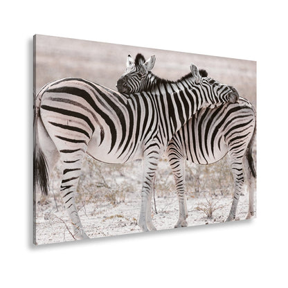 Leinwandbild Zwei Zebras verschlingen sich in zarter, gestreifter Umarmung - deyoli