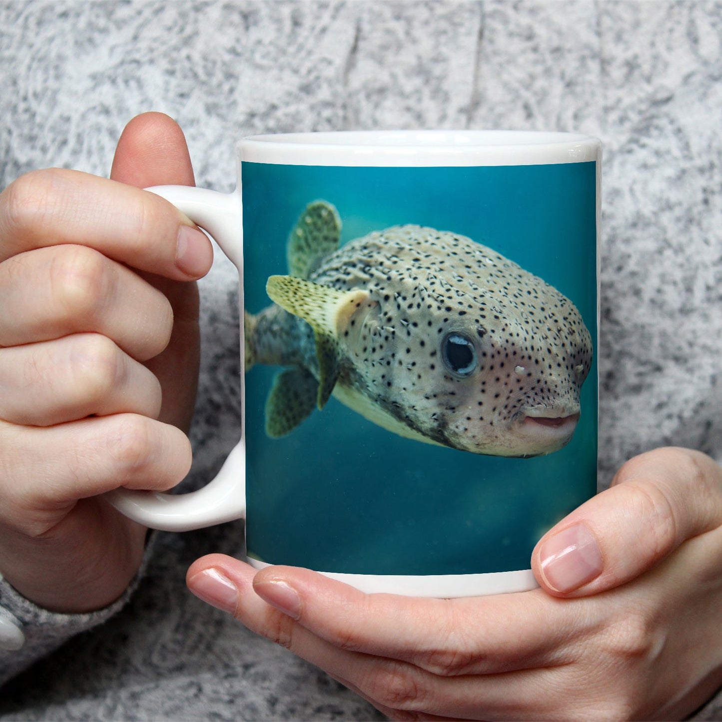 Motivtasse Ein Kugelfisch blickt neugierig in die Tiefe. - deyoli
