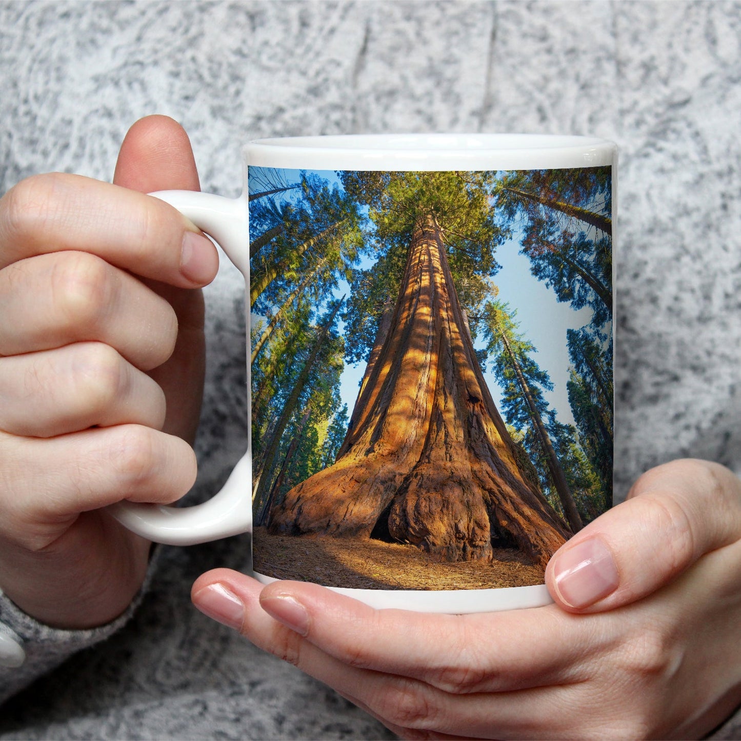 Motivtasse Ein Waldgigant im Lichtspiel des Morgens. - deyoli