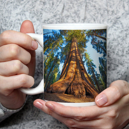 Motivtasse Ein Waldgigant im Lichtspiel des Morgens. - deyoli